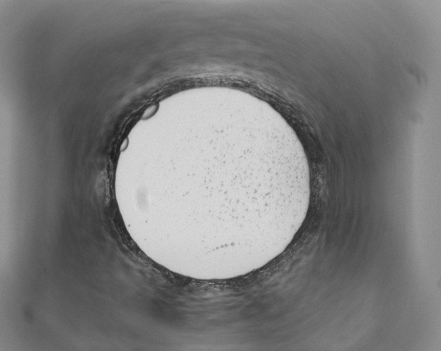 X0000110671493200907101055