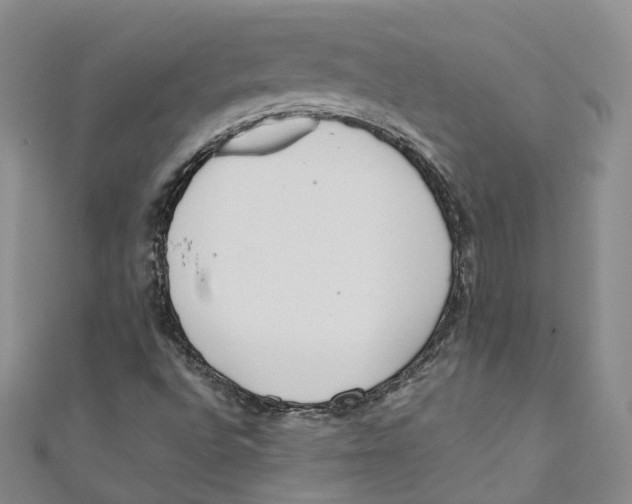 X0000110671496200907101055