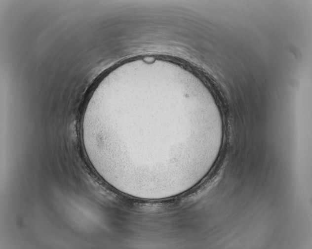 X0000110671497200907101055
