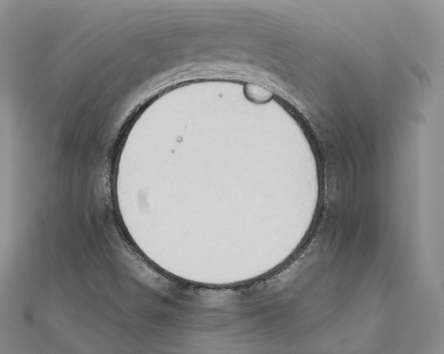 X0000110671498200907101055