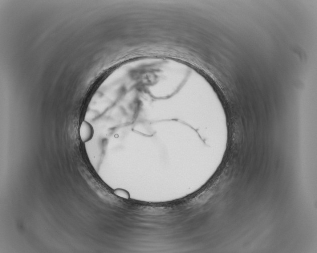 X0000110671499200907101055