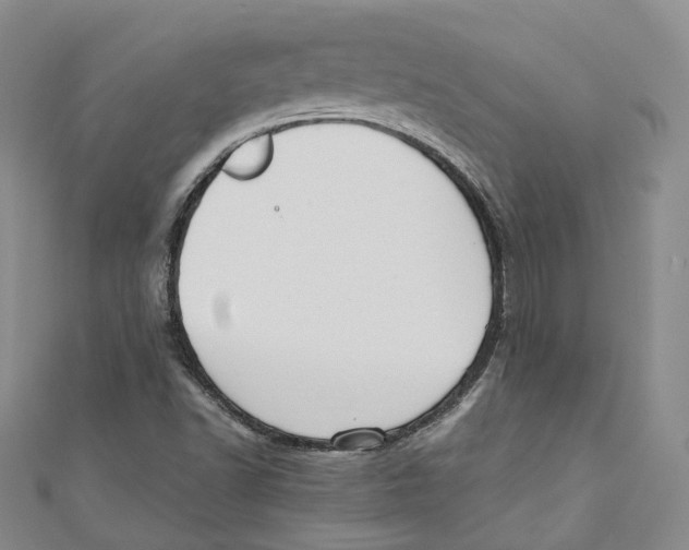 X0000110671502200907101055