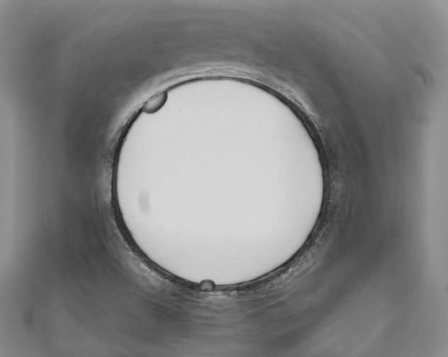 X0000110671504200907101055