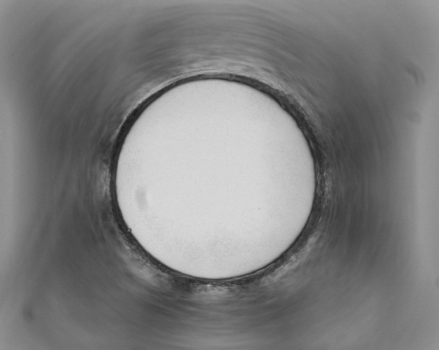 X0000110671505200907101055