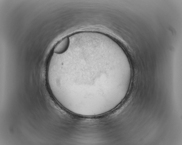 X0000110671506200907101055