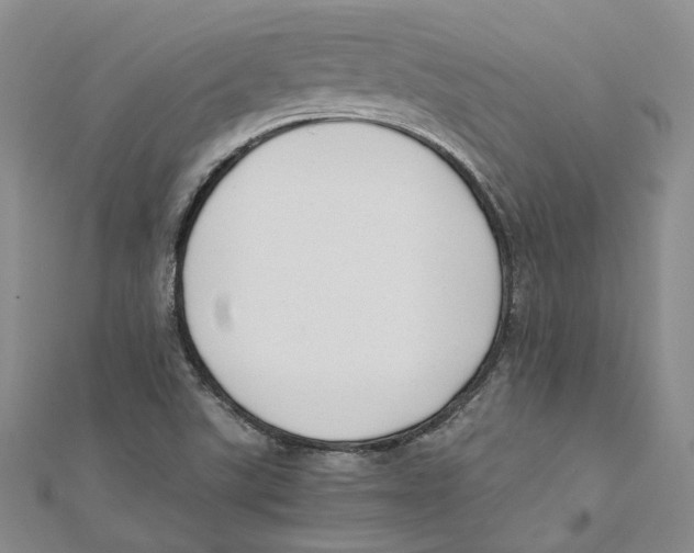 X0000110671507200907101055