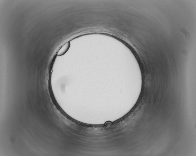 X0000110671508200907101055