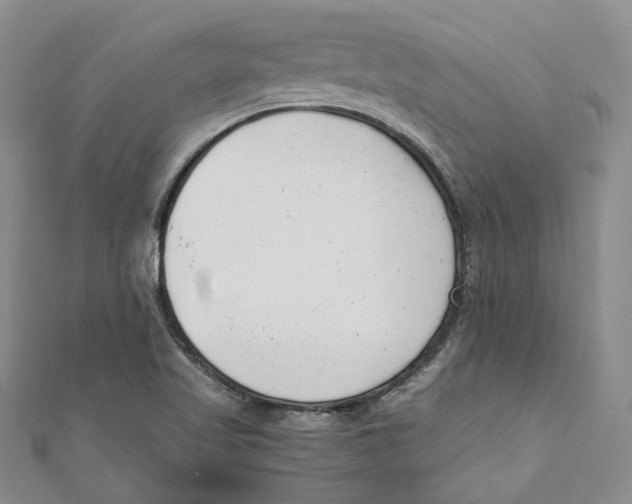X0000110671509200907101055