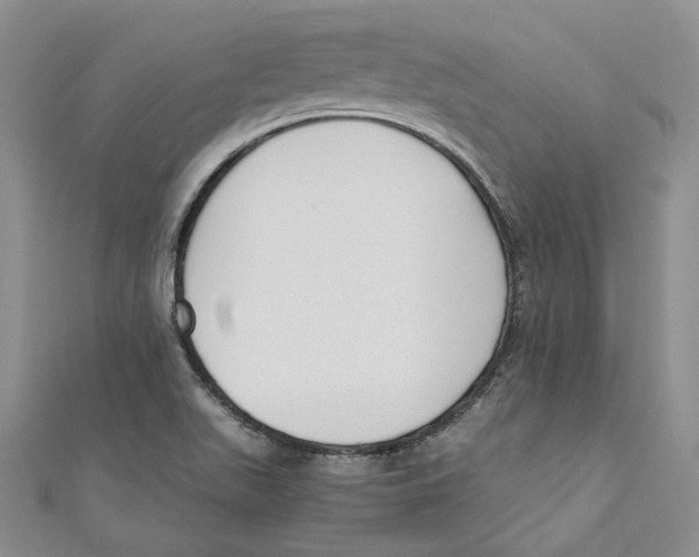 X0000110671511200907101055