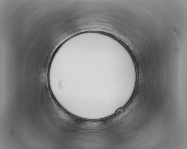 X0000110671513200907101055
