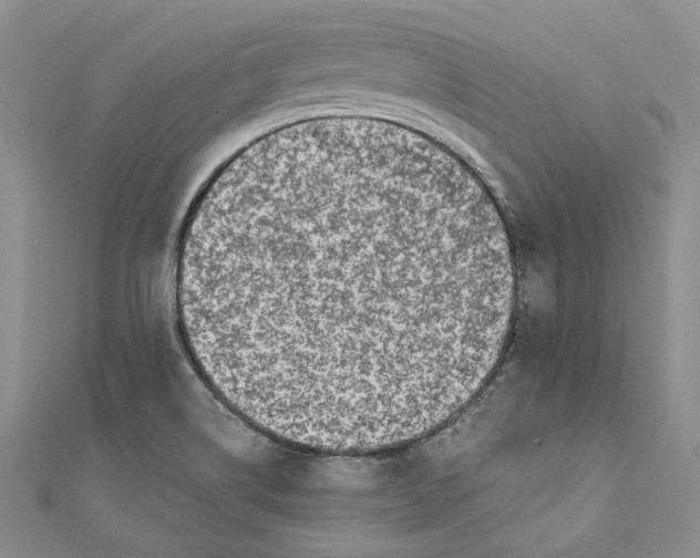 X0000110671514200907101055