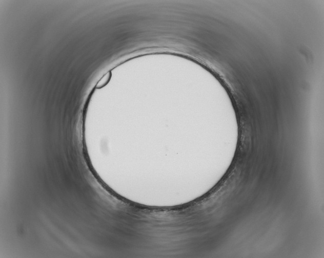 X0000110671516200907101055