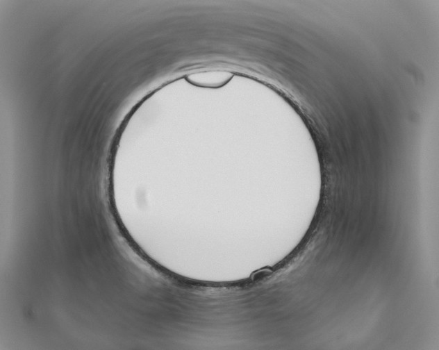 X0000110671518200907101055