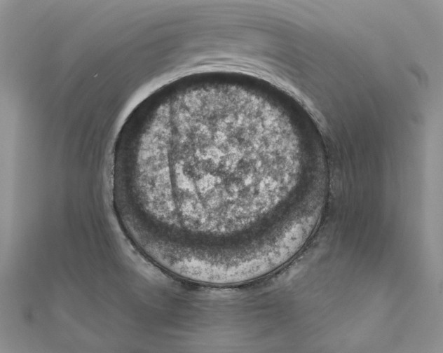 X0000110671522200907101055