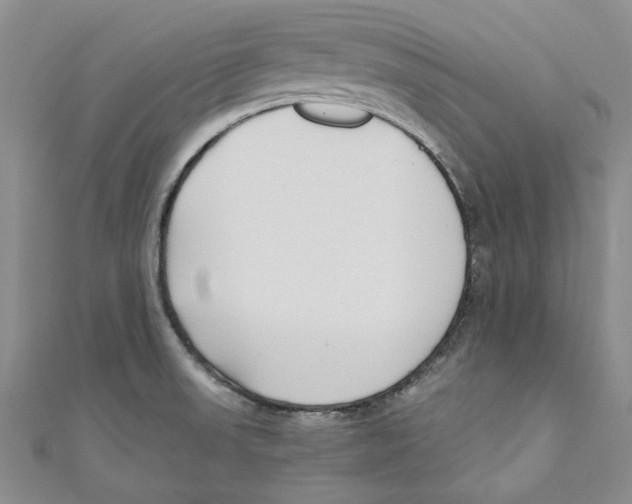 X0000110671523200907101055