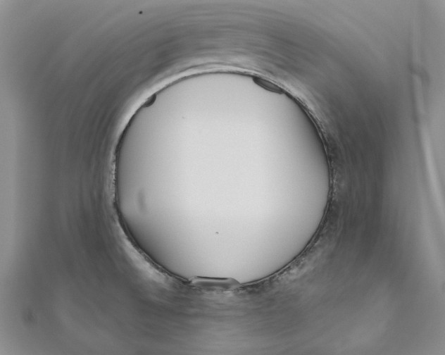 X0000110671524200907101055