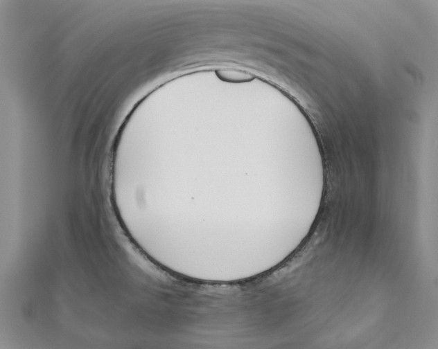 X0000110671526200907101055