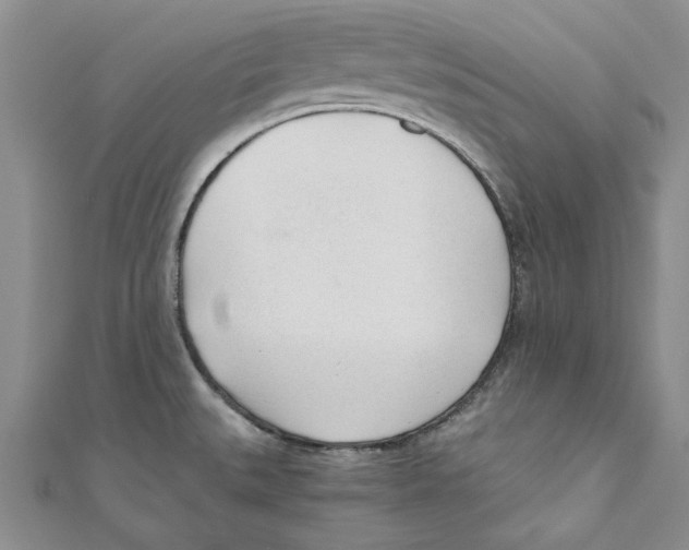 X0000110671527200907101055