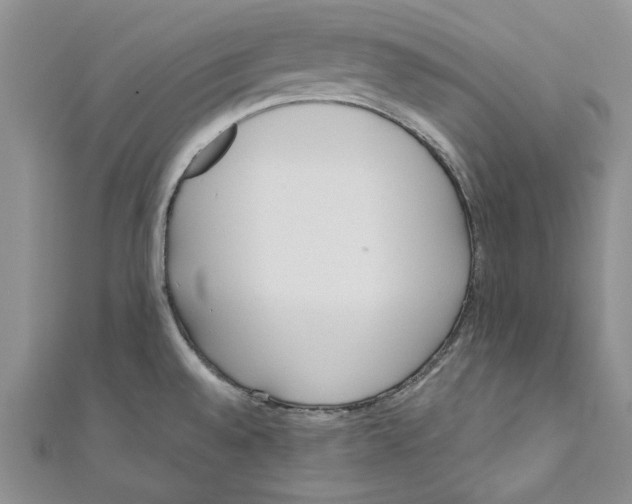 X0000110671528200907101055