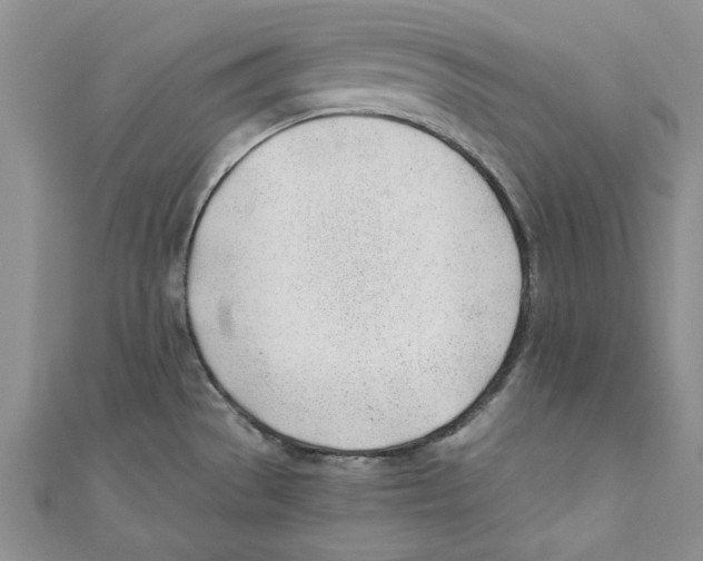 X0000110671529200907101055