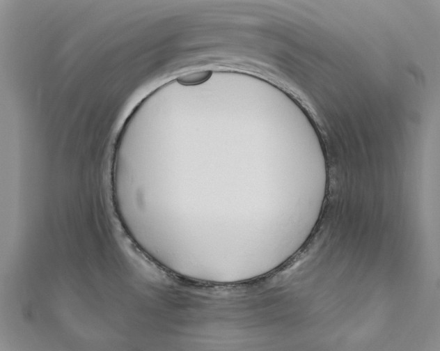 X0000110671530200907101055
