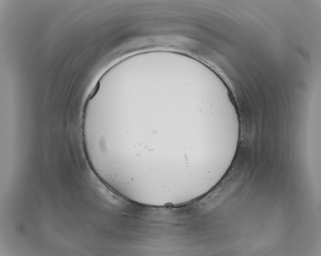 X0000110671532200907101055