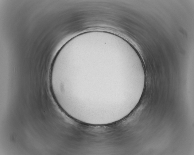 X0000110671533200907101055