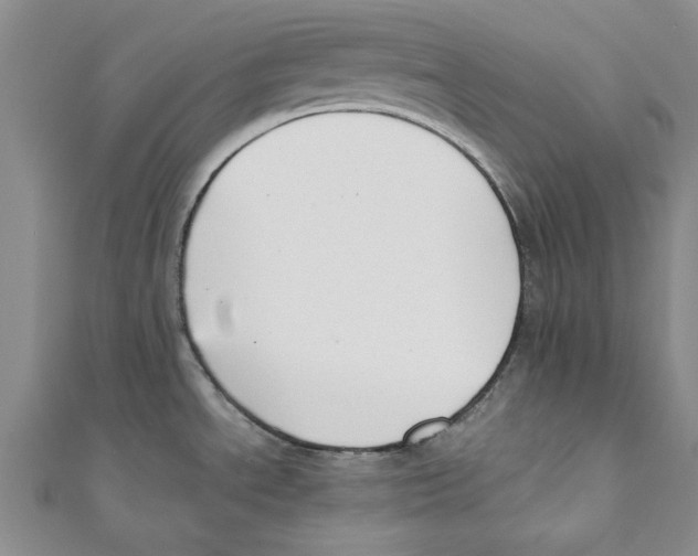 X0000110671534200907101055