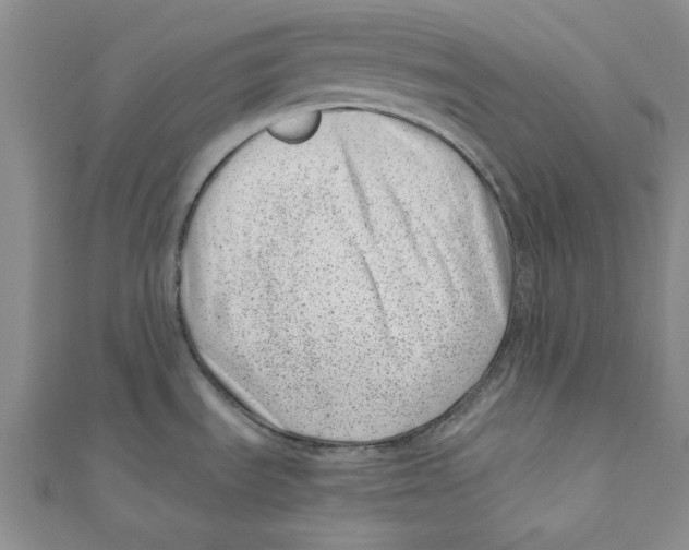 X0000110671535200907101055