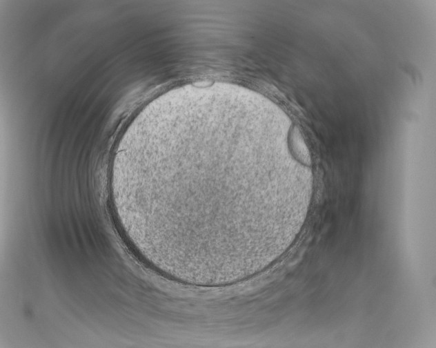 X0000110670002200907241032