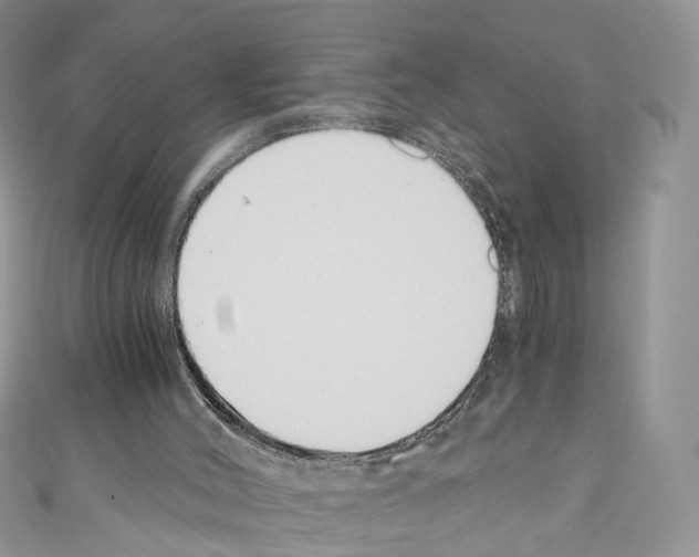 X0000110670004200907241032
