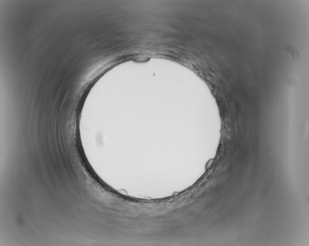 X0000110670005200907241032