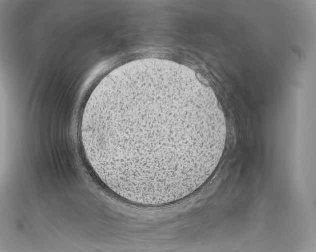 X0000110670006200907241032