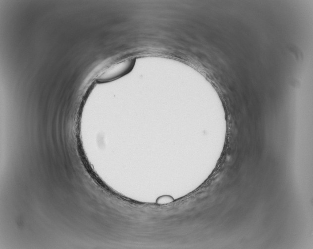 X0000110670007200907241032