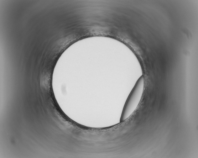 X0000110670009200907241032