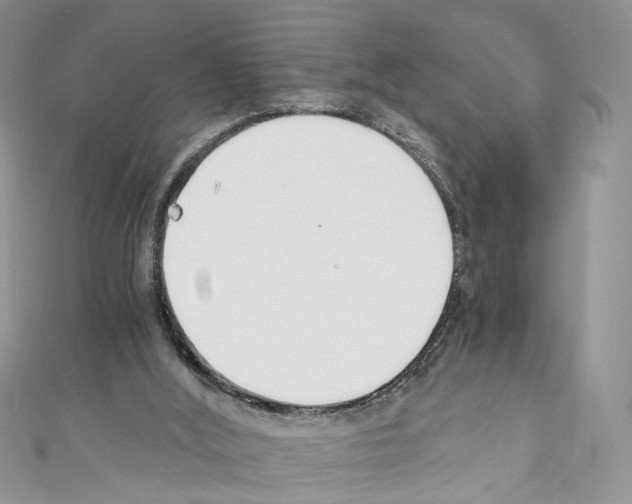 X0000110670012200907241032