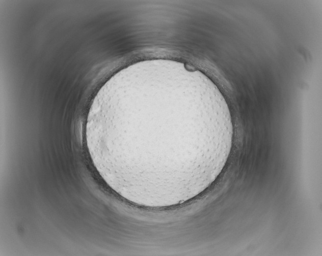 X0000110670014200907241032