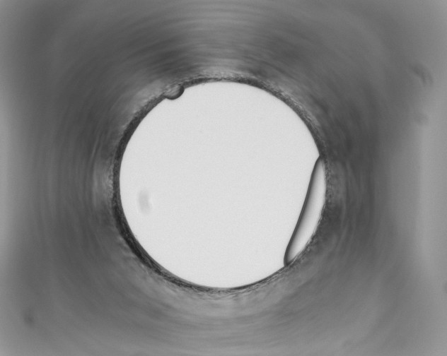 X0000110670015200907241032
