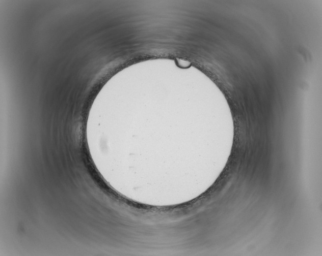X0000110670016200907241032