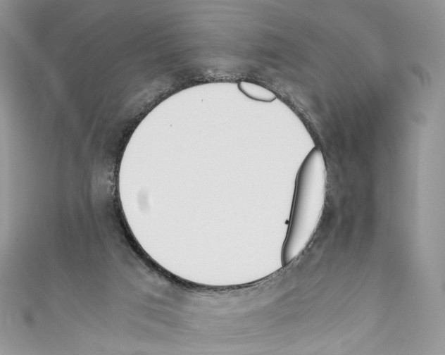 X0000110670017200907241032