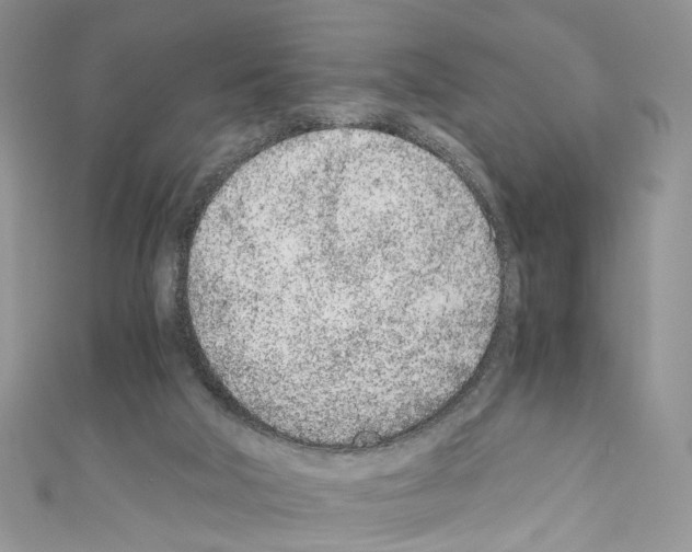 X0000110670018200907241032