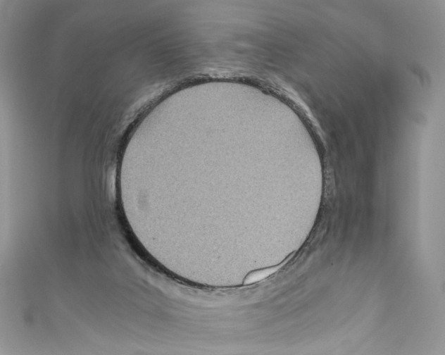 X0000110670019200907241032
