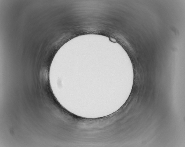 X0000110670021200907241032