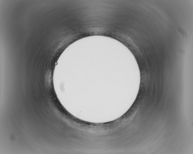 X0000110670024200907241032