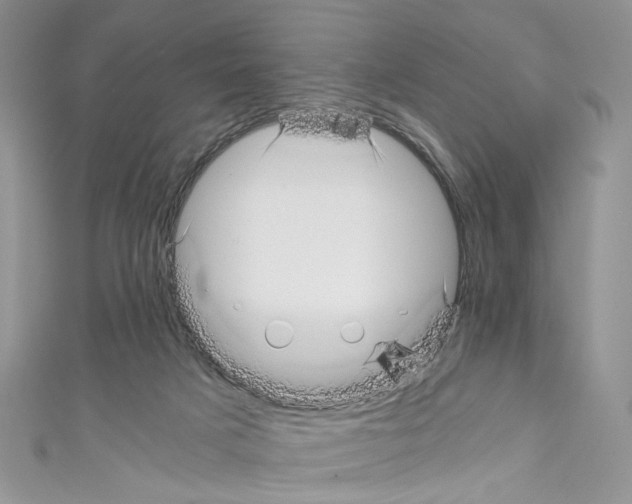 X0000110670025200907241032