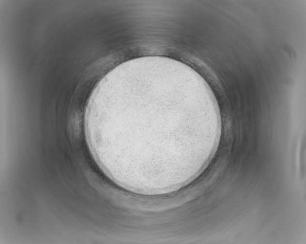 X0000110670026200907241032