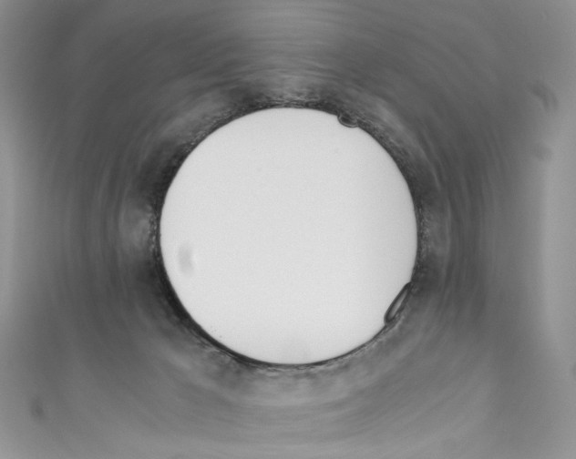 X0000110670029200907241032