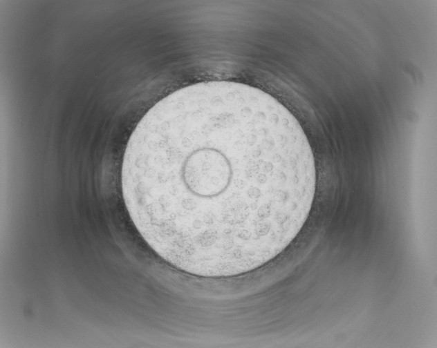 X0000110670030200907241032