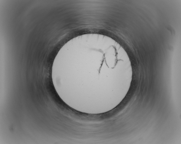 X0000110670032200907241032