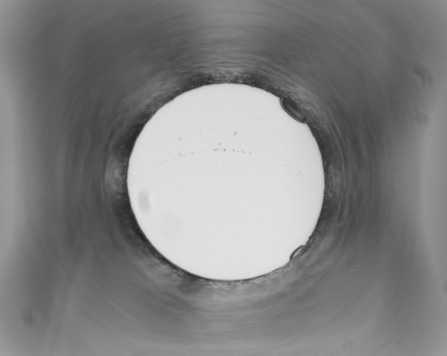 X0000110670037200907241032